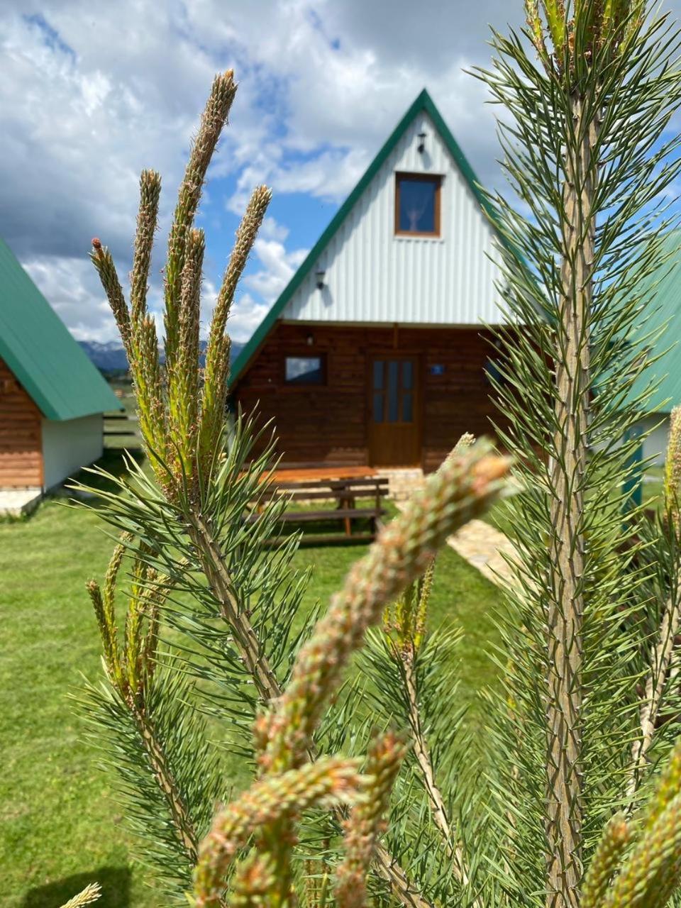 Family House Eagle Eye Villa Žabljak Eksteriør billede